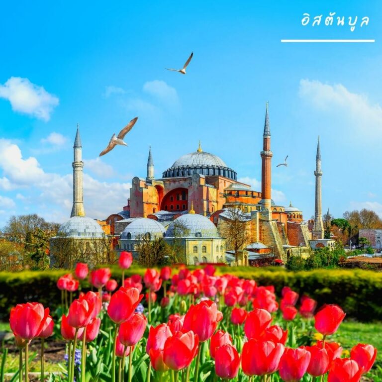 My Image 6