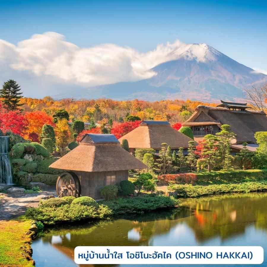 ภาพ : หมู่บ้านน้ำใส โอชิโนะฮัคไค (OSHINO HAKKAI),ญี่ปุ่น