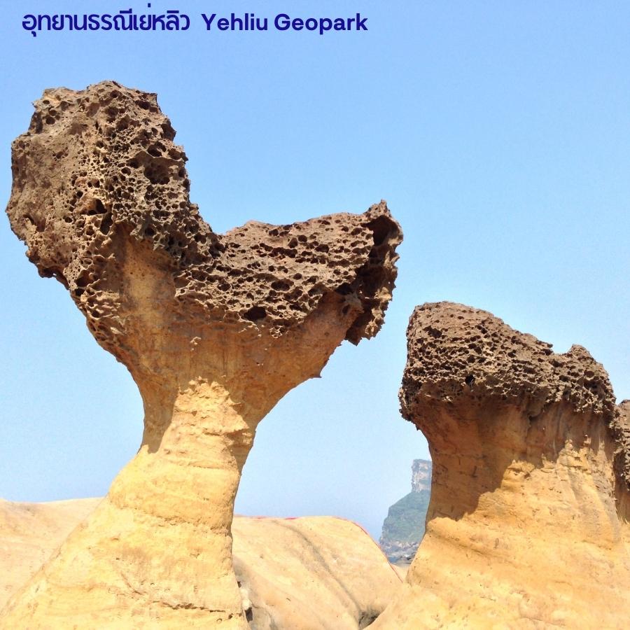 ภาพ : อุทยานธรณีเย่หลิว (Yehliu Geopark),ไต้หวัน